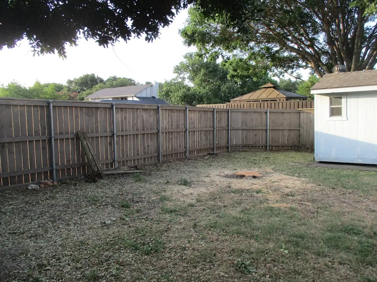 Cleared yard after professional tree removal in Haleyville
