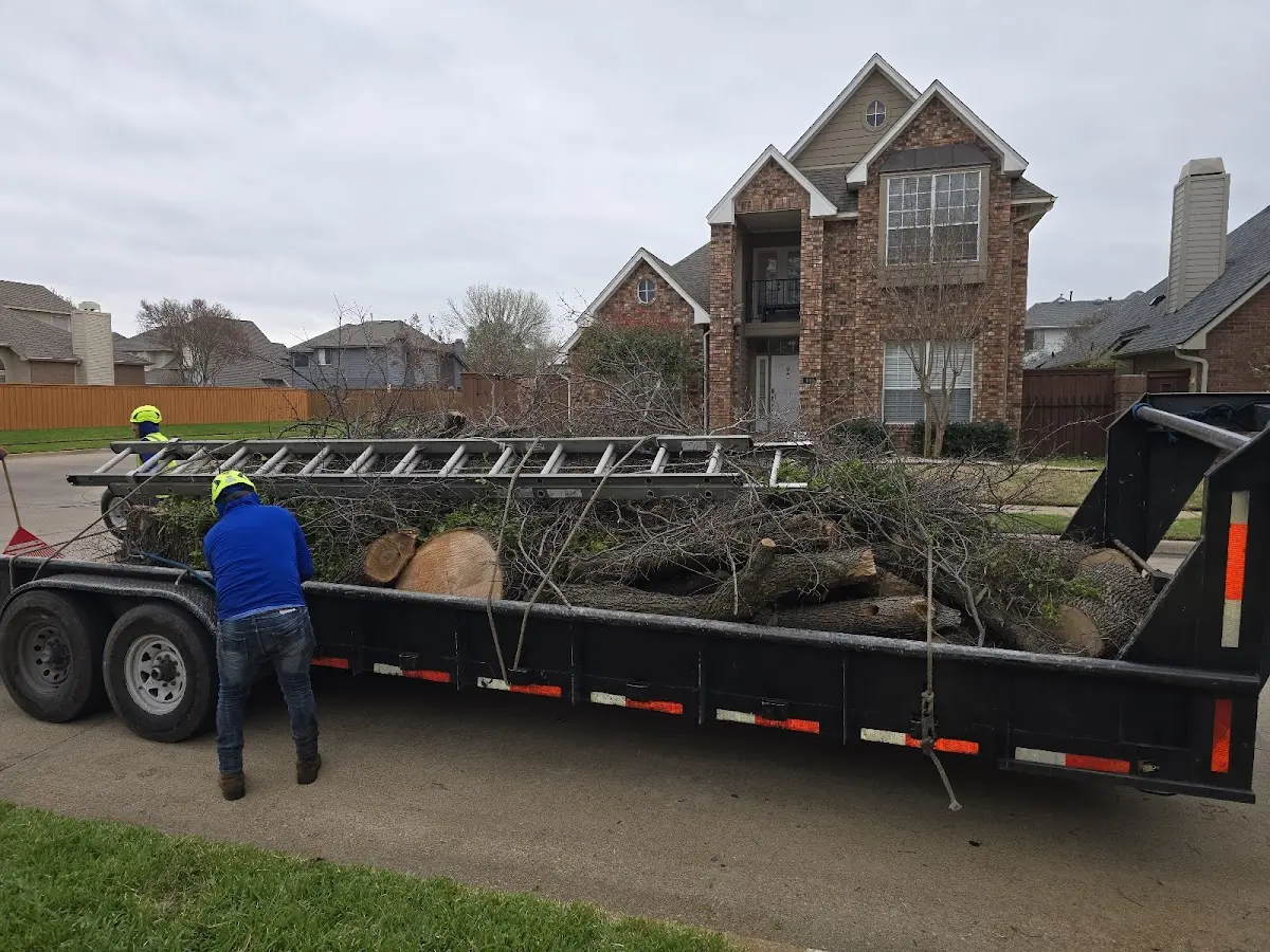 Expert Tree Pest Control with proper safety equipment in Haleyville